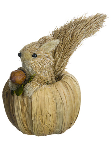 7.5" Squirrel in Pumpkin  Brown Beige (pack of 12)
