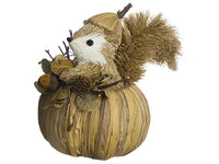 9" Squirrel in Pumpkin With Pumpkin Hat Light Brown (pack of 6)