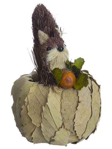 7.5" Squirrel in Pumpkin With Acorn Brown Beige (pack of 12)