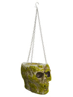 7"Hx8"D Skull Planter  Gray Moss (pack of 6)