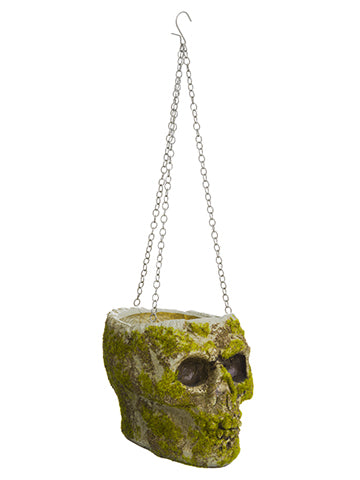 7"Hx8"D Skull Planter  Gray Moss (pack of 6)