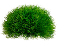 5"Hx10"W Pine Grass Half Dome  Green (pack of 6)