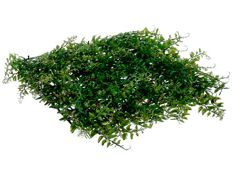 11.5"Wx11.5"L Curly Fern Hanging Mat Green (pack of 6)