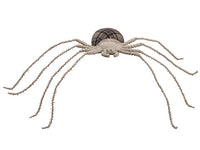 11" Spider  Black Beige (pack of 2)