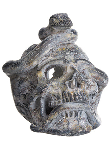 8" Skull With Snake  Antique Gray (pack of 4)