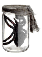 5.5" Glass Jar w/Spider  Black (pack of 2)