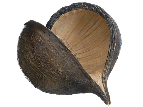5"Hx6.5"W Pea Pod  Brown (pack of 6)