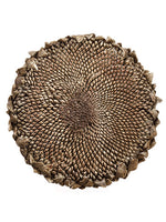 8"D Sunflower Head Wall Piece  Brown (pack of 8)