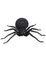 12"Wx14"L Spider  Black (pack of 4)