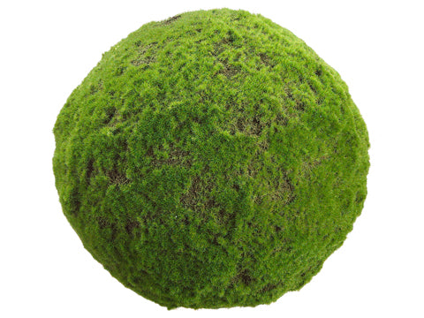 13.75" Moss Ball  Green (pack of 2)
