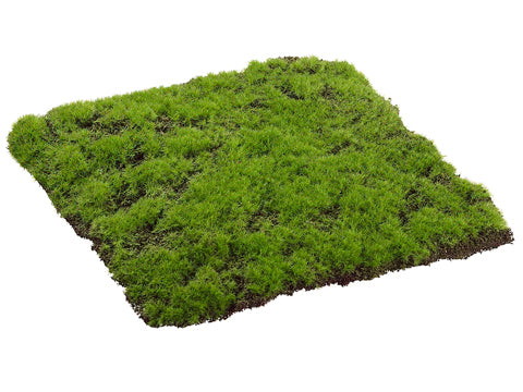 12"Wx12"L Square Moss Sheet  Green (pack of 6)