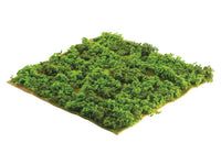 14"Wx14"L Square Mountain Sphagnum Moss Sheet Green (pack of 12)