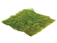 14"Wx14"L Square Water Sphagnum Moss Sheet Green (pack of 12)