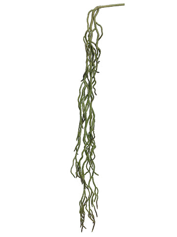 28" Orchid Root  Green Brown (pack of 24)