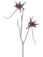 25" Spider Orchid Branch  Brown (pack of 6)
