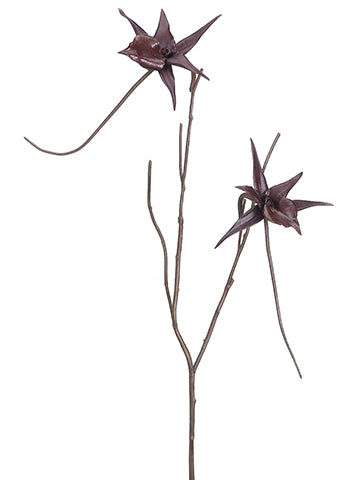 25" Spider Orchid Branch  Brown (pack of 6)