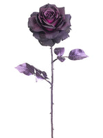 Eggplant Purple