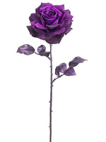 Violet Purple