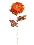 Orange Copper