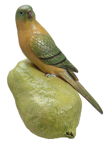 6.5" Parrot w/Guava  Green Green (pack of 6)