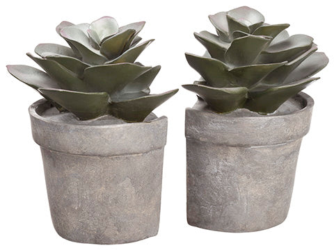 6.25" Echeveria Bookend (2 ea/set) Green Gray (pack of 2)