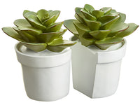 7" Poly Resin Echeveria Bookend (2 ea/set) Green White (pack of 2)