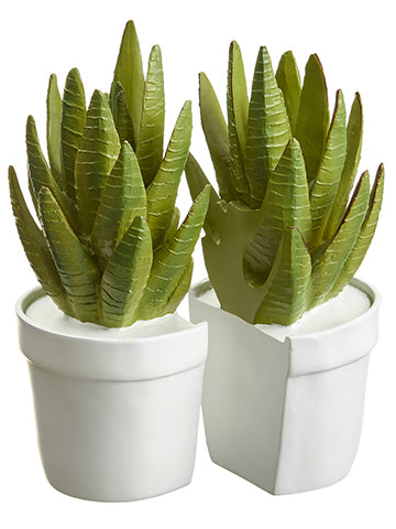 9.5" Poly Resin Aloe Bookend (2 ea/set) Green White (pack of 2)