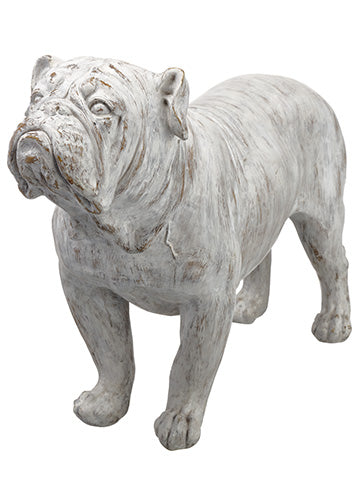 18" Bulldog  Gray Whitewashed (pack of 1)