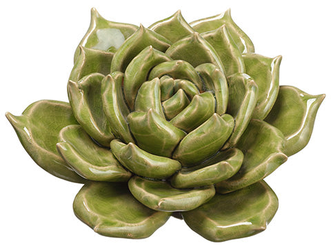 4"Hx6.75"D Ceramic Succulent  Green (pack of 4)