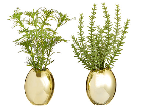 8"-8.5" Dill/Rosemary in Egg (2 ea/set) Green (pack of 6)