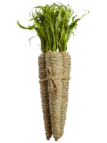 14" Carrot Bundle x3  Natural Green (pack of 4)