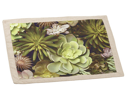 14"Wx19"L Succulent Placemat  Green Beige (pack of 6)