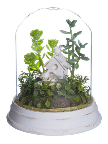 7" Bird/Succulent in Glass Dome Green White (pack of 1)