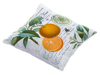 13.5"Wx13.5"L Outdoor Orange Pillow White Orange (pack of 6)