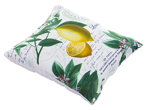 13.5"Wx13.5"L Outdoor Lemon Pillow White Yellow (pack of 6)