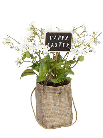 9" Mini Starflower in Burlap Bag White (pack of 6)
