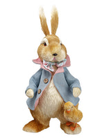 21.5" Sisal Mr. Bunny With Duck Beige Blue (pack of 2)