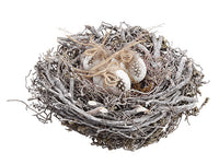 7.5" Bird's Nest With Egg  White Gray (pack of 4)