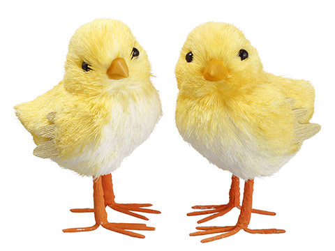 5" Chick (2 ea/set)  Yellow (pack of 6)
