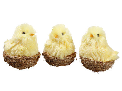 3.5" Chick on Nest Assortment (3 ea/set) Yellow (pack of 4)