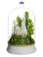 7" Bunny/Succulent in Glass Dome Green White (pack of 1)