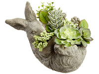 8" Succulent Garden Arrangement in Cement Bunny Planter Green Gray (pack of 1)