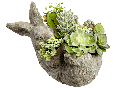 8" Succulent Garden Arrangement in Cement Bunny Planter Green Gray (pack of 1)