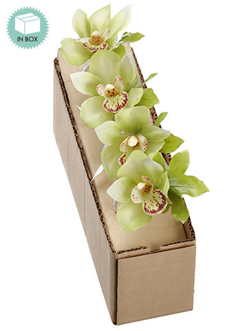 4.5" Cymbidium Orchid Napkin Ring Green (pack of 4)