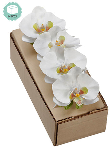 3.5" Phalaenopsis Orchid Napkin Ring White (pack of 4)