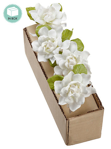 3.5" Gardenia Napkin Ring  White (pack of 4)