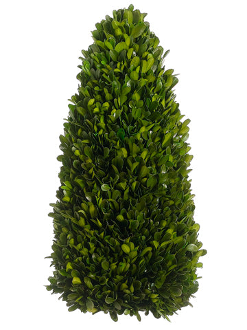 13.7" Preserved Boxwood Cone Topiary Green (pack of 1)