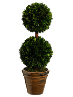 18.5" Preserved Boxwood Double Ball Topiary in Ceramic Pot Green (pack of 2)