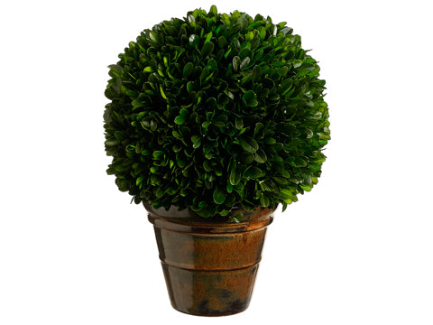 10.2" Preserved Boxwood Ball Topiary in Ceramic Pot Green (pack of 2)