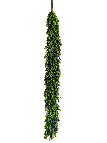 45" Preserved Boxwood Garland  Green (pack of 2)